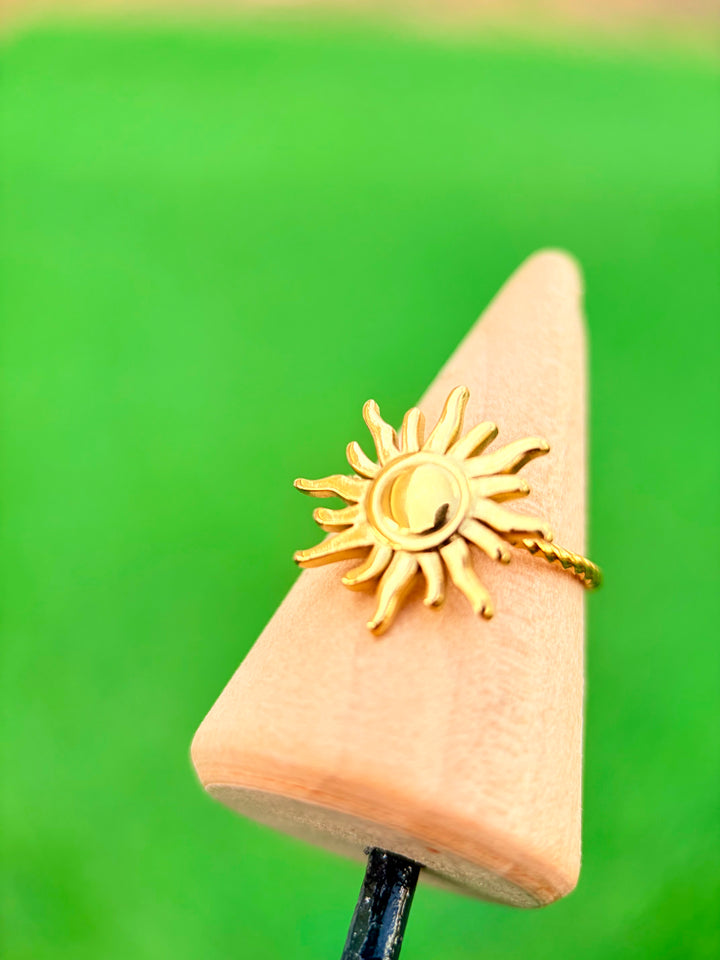 Sortia de Sol