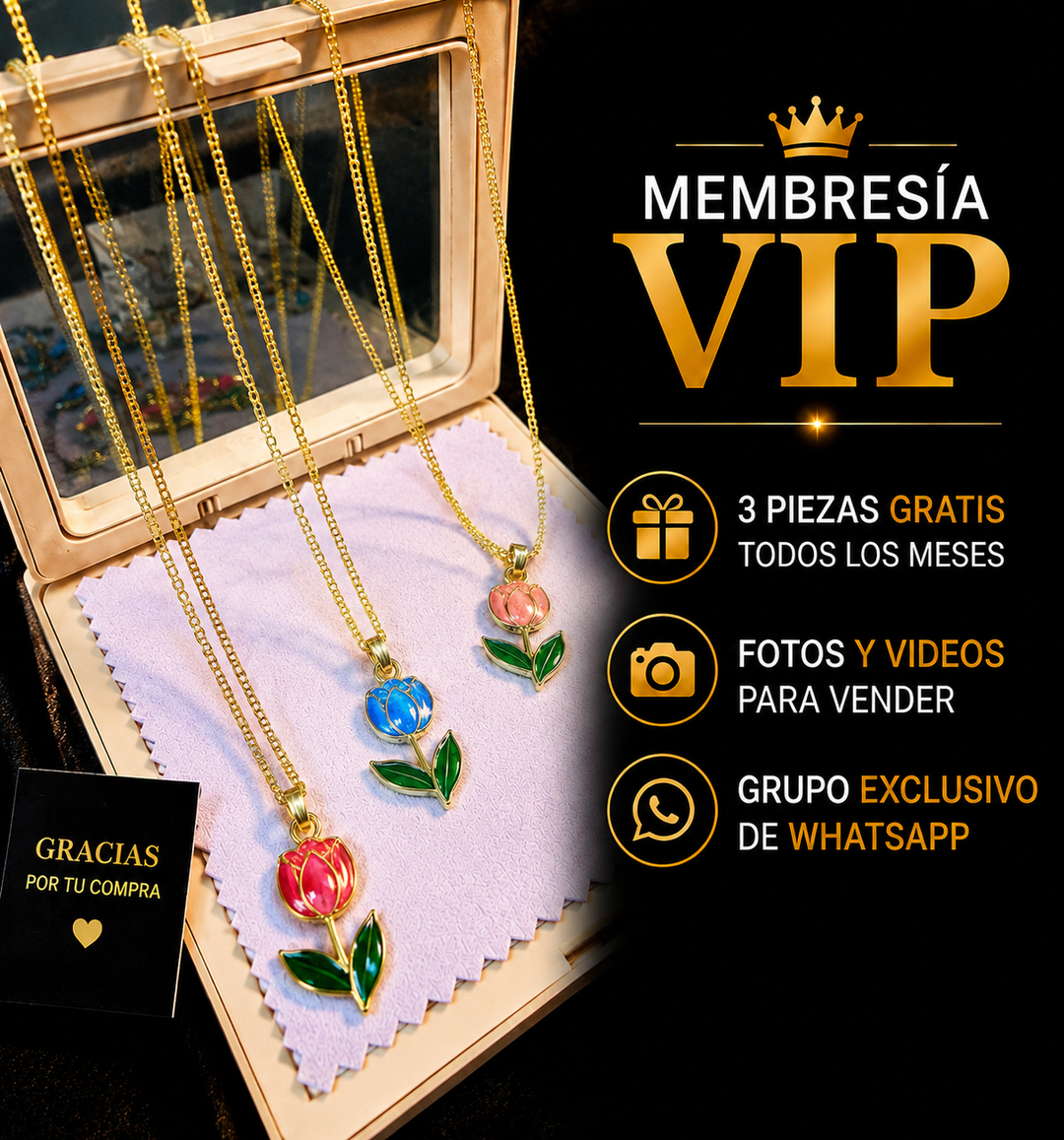 MEMBRESÍA MAYORISTA VIP