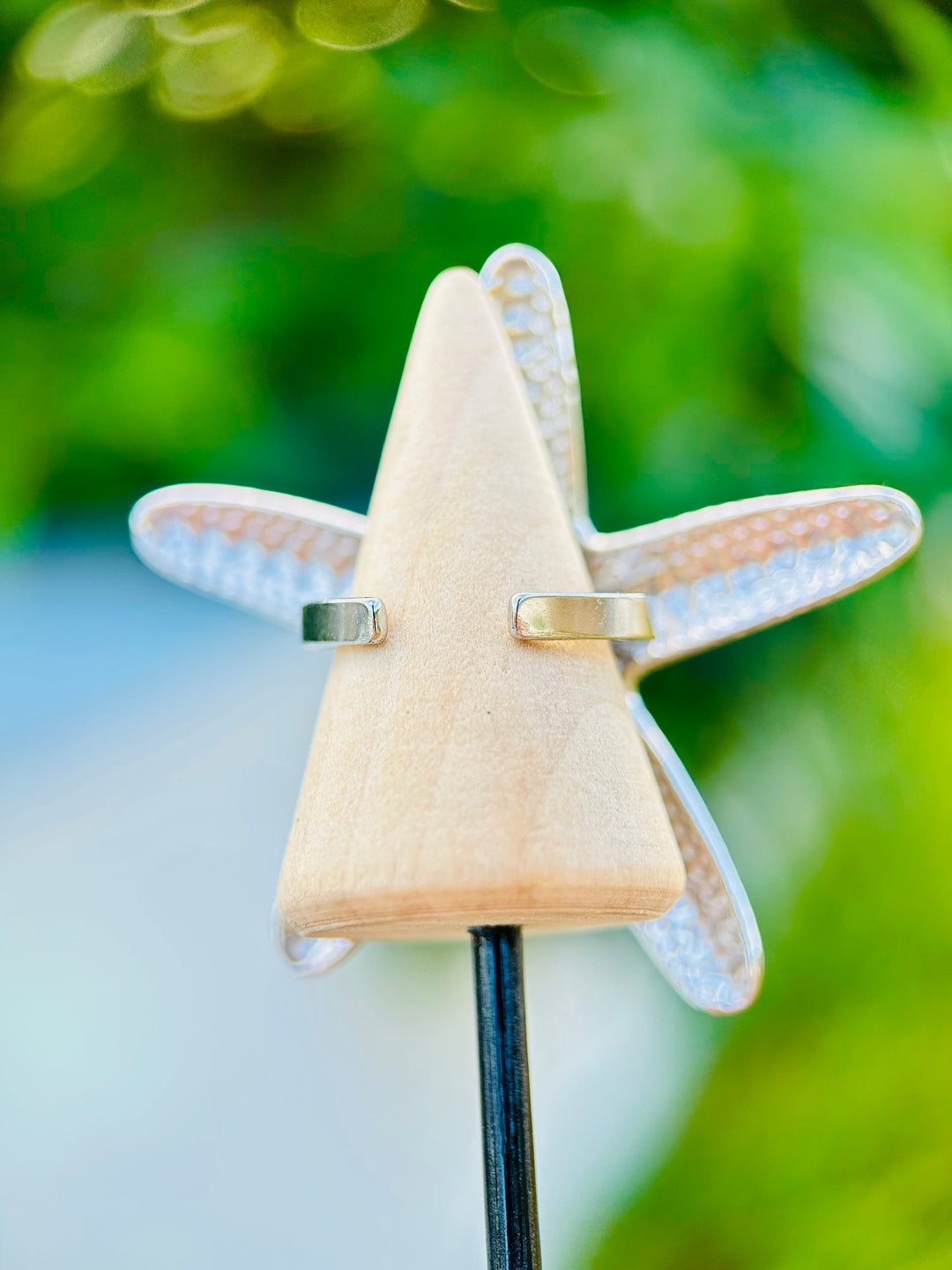 Sortija de Estrella de Mar Plata