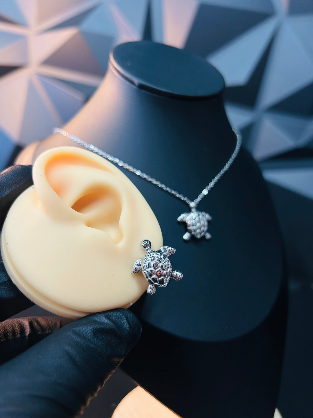 Set de Tortuga Plata