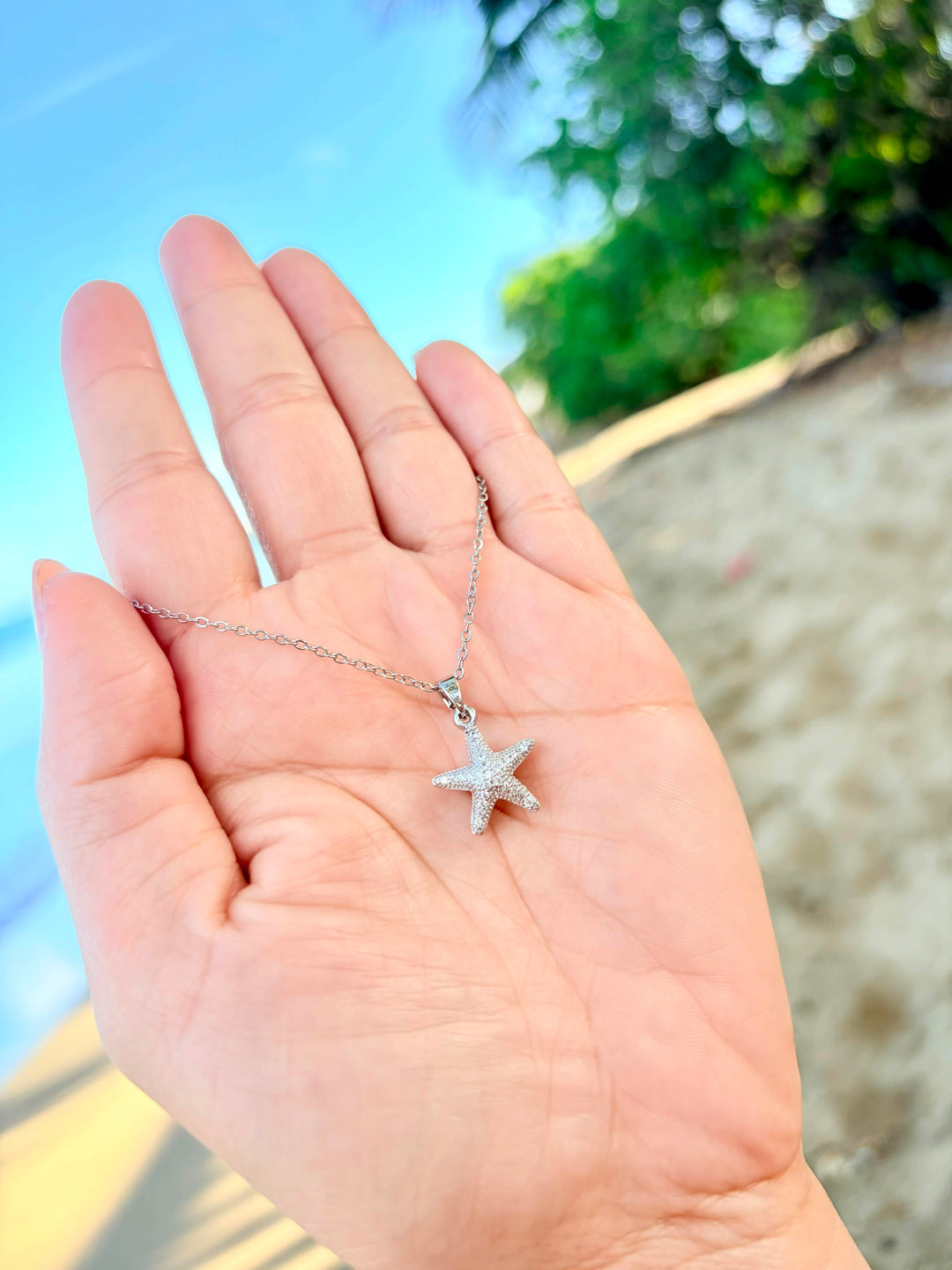 Collar de Estrella de Mar Plata Brilloso