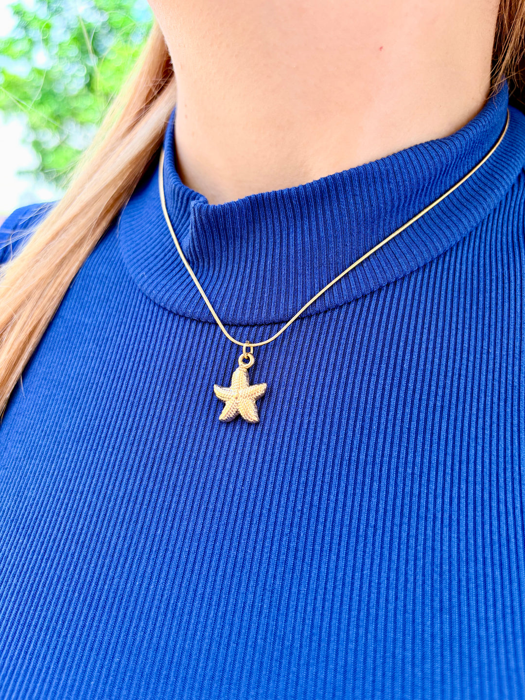 Set de Estrella de Mar 2