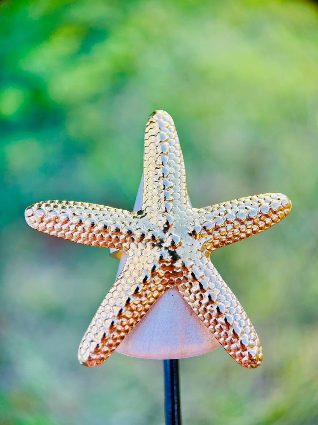 Sortija de Estrella de Mar Oro