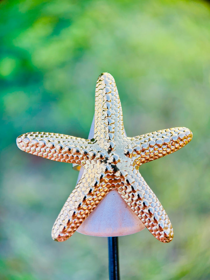 Sortija de Estrella de Mar Oro