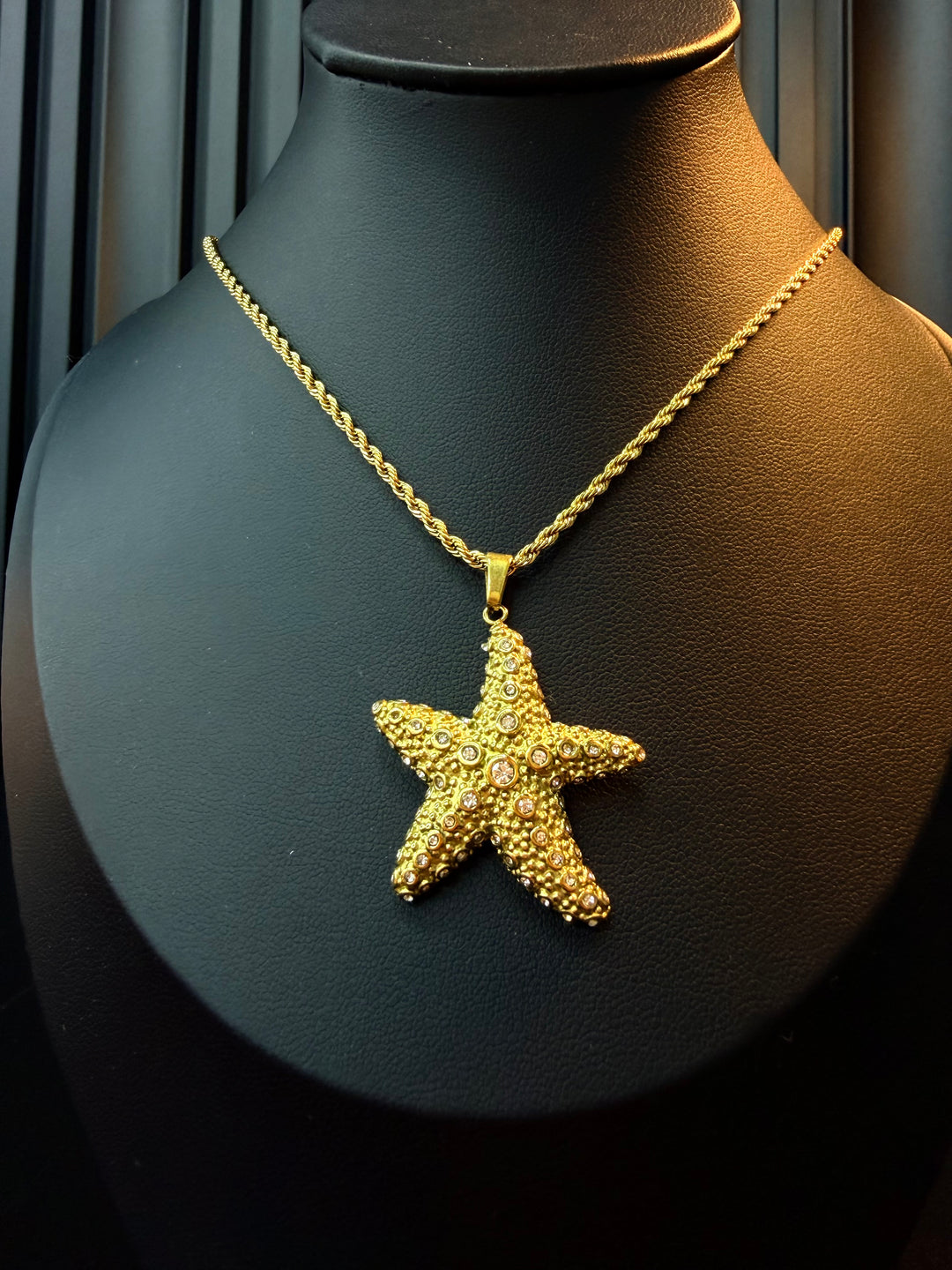 Set de Estrella de MAR en Piedras