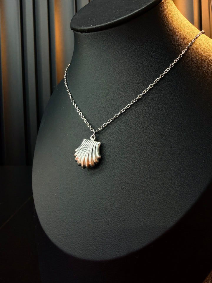 Set de Concha Plata