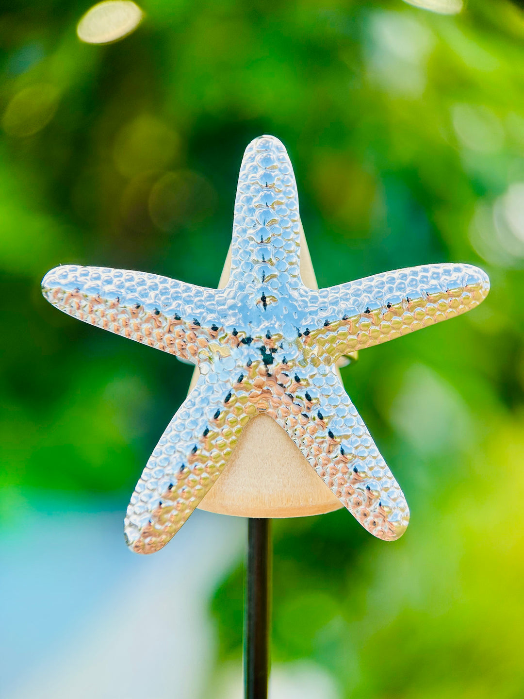 Sortija de Estrella de Mar Plata