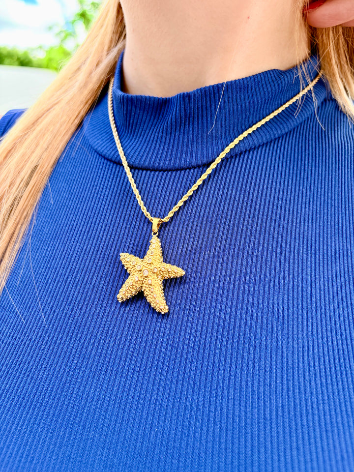 Set de Estrella de MAR en Piedras